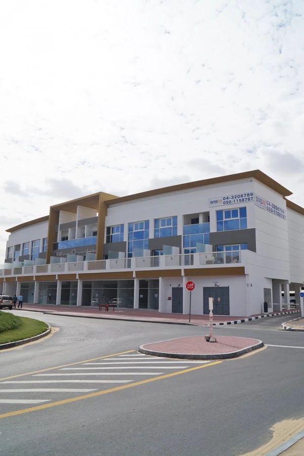 The Lily - ARJAN -1.jpeg