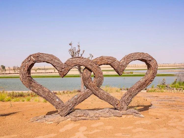 A Quick Guide To Al Qudra Lake, Dubai