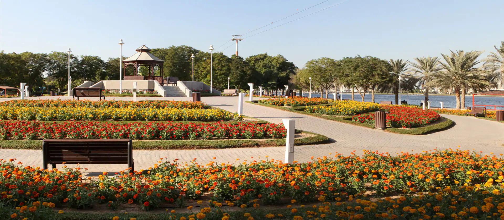 Dubai Creek Park - A Complete Guide And All That You Can Do