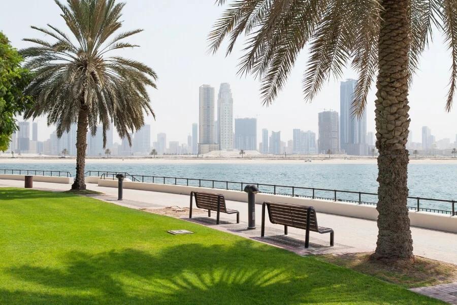 Best Parks In Dubai To Spend The Weekends This Winter