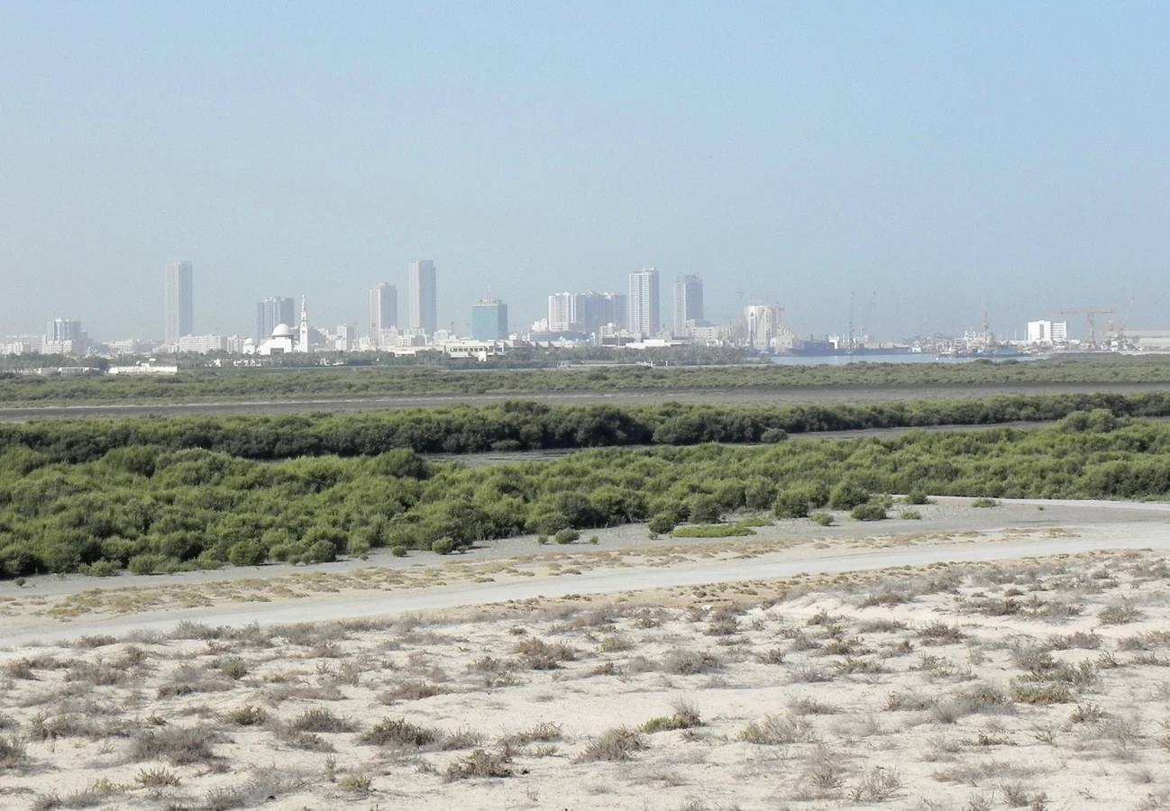 Al Abraq(Umm Al Quwain)