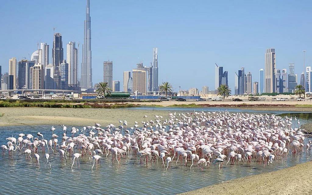 Ras Al Khor Industrial Area(Dubai)