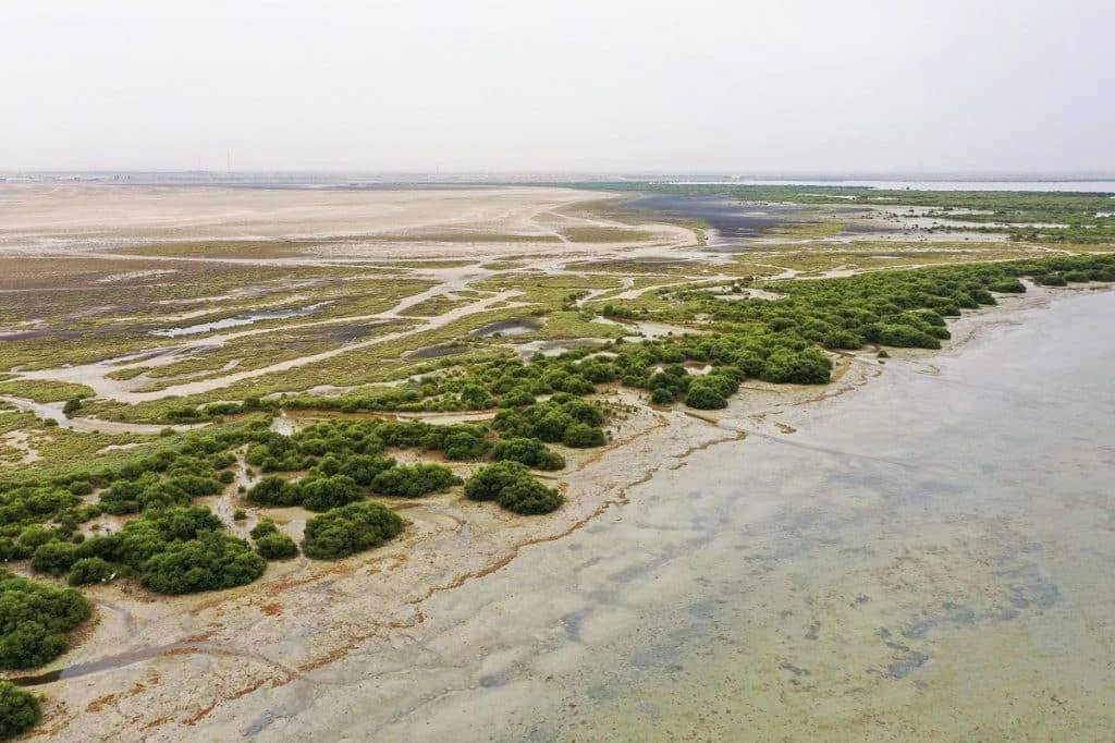 Green Belt(Umm Al Quwain)